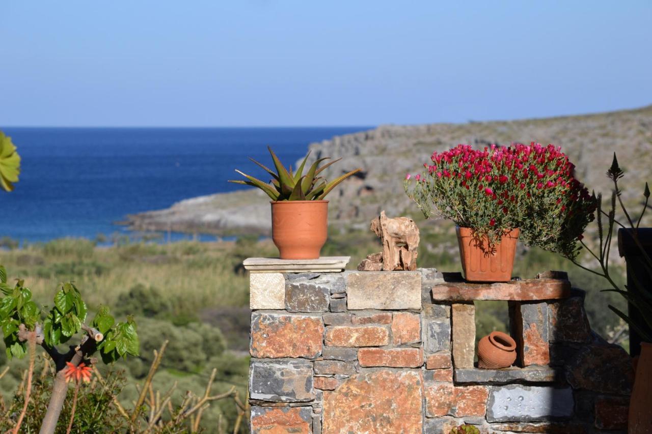 Apartamento Katerina
